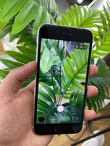 aifon 7: IPhone SE 2020, Б/у, 64 ГБ, Белый, 72 % — 3