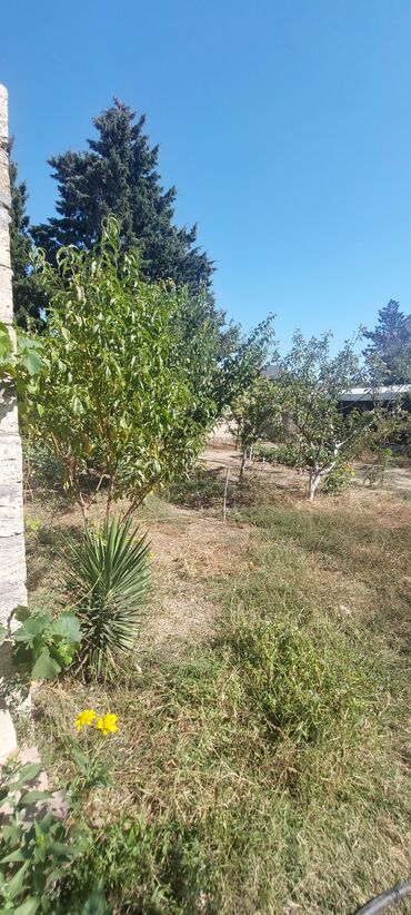 Həyət evləri və villaların satışı: Buzovna 3 otaqlı, 100 kv. m, Kredit yoxdur, Orta təmir — 10