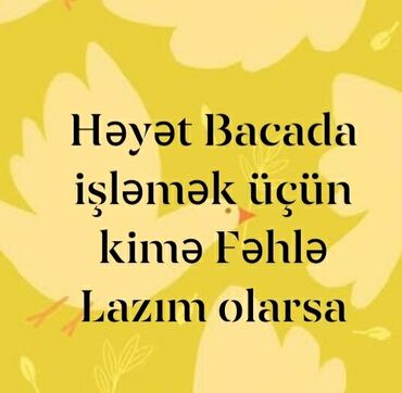 sumqayitda iş elanlari: Salam Ümumu Fəhlə və yük Fəhləsi Nəsə Aparmaq Gətirmək yük daşımaq