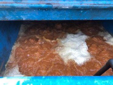 Kommersiya daşınmaz əmlakının satışı: Zirə Kəndi, 10 hektar sahəsi olan parnik satılır. 5 hektar yarım — 12