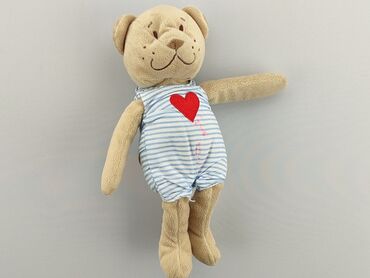 Mascots: Mascot Teddy bear, condition - Satisfying