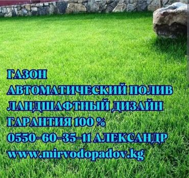 крыша дома: Газон Посев Газона Натуральный газон Автополив Сеем Натуральный Газон