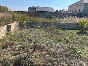 Torpaq sahələrinin satışı: 9 sot, Mülkiyyətçi, Kupça (Çıxarış) — 12