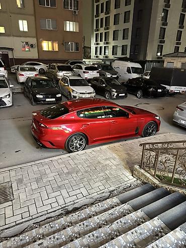 киа к5 хищник: Kia Stinger: 2019 г., 2 л, Автомат, Бензин, Лифтбек — 3