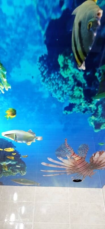 Натяжной потолок: Натяжной потолок Глянцевое, 3D потолки, Матовое Монтаж, Демонтаж, Бесплатная консультация — 3