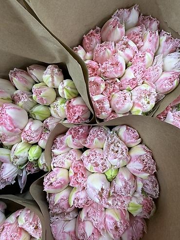 Букеты из живых цветов: Тюльпаны срезанные — оптом и в букетах - Ассортимент цветов: жёлтые at lalafo.kg — 12 Букеты из живых цветов: Тюльпаны срезанные — оптом и в букетах - Ассортимент цветов: жёлтые — 12