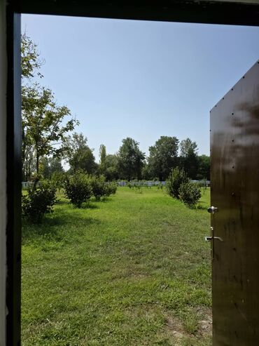 Torpaq sahələrinin satışı: 185 sot, Mülkiyyətçi, Kupça (Çıxarış) — 12