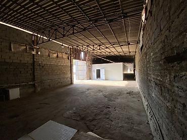 Промышленные холодильники и комплектующие: 2300 * * 600 см 300 — 3