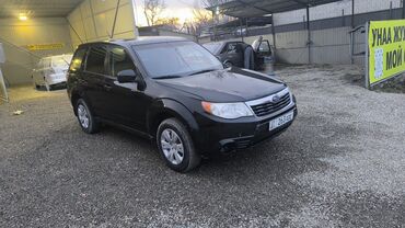 битий авто: Subaru Forester: 2009 г., 2.5 л, Автомат, Газ, Кроссовер