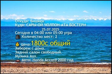 такси бишкек ош телеграм: Ысык-Көль Такси, жеңил унаа | 2 орундук