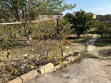 Torpaq sahələrinin satışı: 9 sot, Mülkiyyətçi, Kupça (Çıxarış) — 21