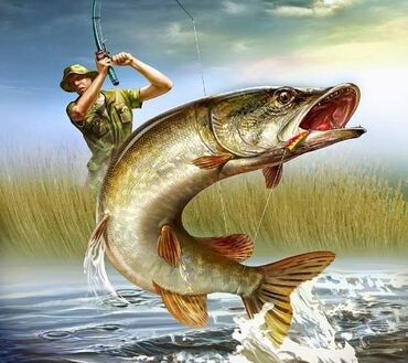 Reklamiranje, štampanje: Motivi za muske majice.Ribolovci izaberite motiv i velicinu i majica na lalafo.rs — 6 Reklamiranje, štampanje: Motivi za muske majice.Ribolovci izaberite motiv i velicinu i majica — 6