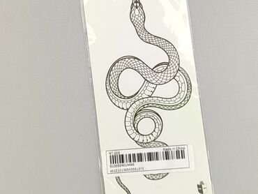 Other Accessories
