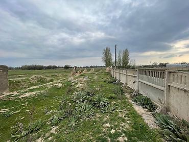 Продажа участков: 81 соток, Для бизнеса, Красная книга — 12