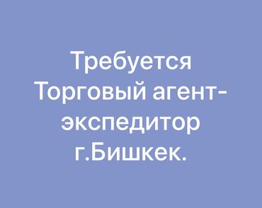 ночь охрана: В компанию требуется *агент-экспедитор по г. Бишкек*. *Условия:* -