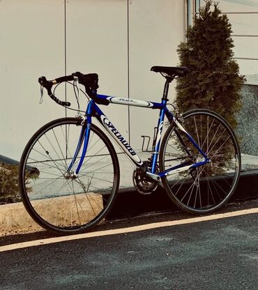 велосипед шоссейник: Шоссейный велосипед, Specialized