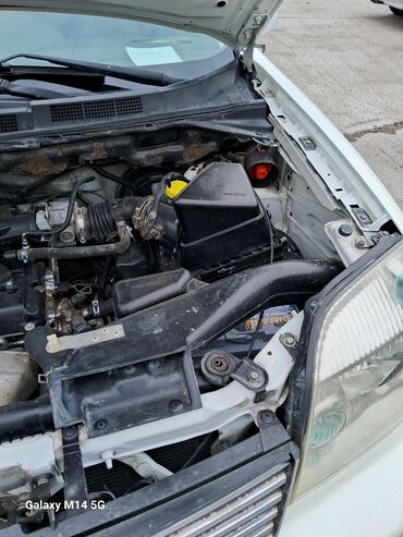 Nissan: Ağ rəngli kompakt krossover/SUV. Xüsusiyyətlər: - Kuzov: 5 qapılı — 4