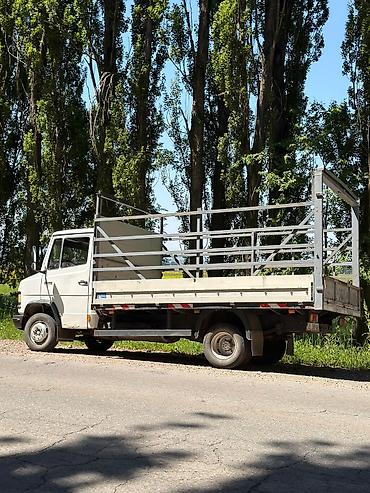грузовой мерседес варио: Mercedes-Benz Vario: 1999 г., 4 л, Механика, Дизель, Фургон — 6