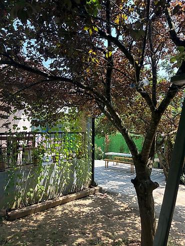 balaca ev: İcarəyə kənd evi – həyətyanı sahəsi və hovuzlu - Qapalı, yaşıllıqlı — 1