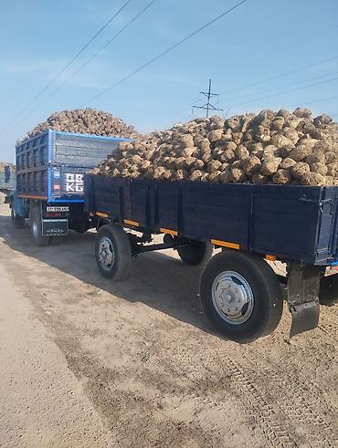 ЗИЛ: Продаю зиловский прицеп без документ — 1