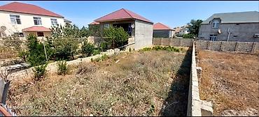 Daşınmaz əmlak: 300 sot, Mülkiyyətçi, Kupça (Çıxarış) — 1