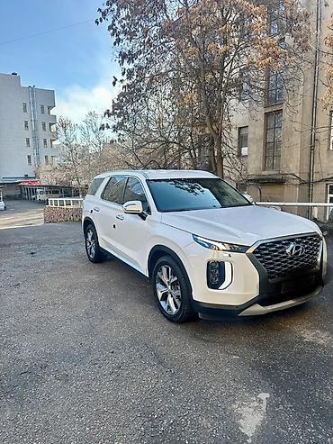 Hyundai: Hyundai Palisade: 2020 г., 2.2 л, Автомат, Дизель, Кроссовер — 17