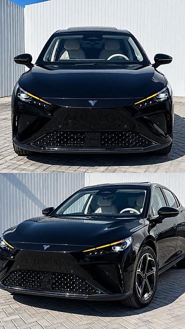 hongqi ehs9: Voyah : 2024 г., 1.5 л, Автомат, Электромобиль, Седан — 1