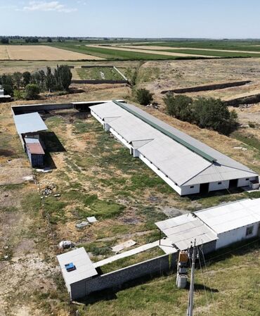 Другая коммерческая недвижимость: Продаётся мал сарай 📍 адрес: сокулукский район, с. Чат-көл 🏢 мал at lalafo.kg — 1 Другая коммерческая недвижимость: Продаётся мал сарай 📍 адрес: сокулукский район, с. Чат-көл 🏢 мал — 1