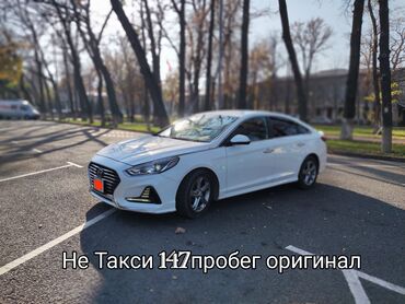 продаю хюндай соната: Hyundai Sonata: 2018 г., 2 л, Типтроник, Газ, Седан