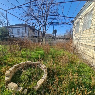 Torpaq sahələrinin satışı: 18 sot, Tikinti, Barter mümkündür, Kupça (Çıxarış) — 16