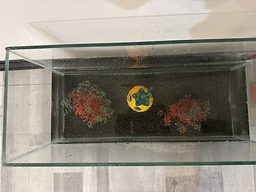 nere baligi: Dördbucaq akvarium, Boş, 60 l, Ünvandan götürmə — 4
