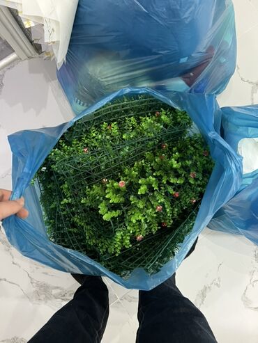 Hədiyyə bağlamaları: Hədiyyə paketi, Yeni, Ödənişli çatdırılma — 15