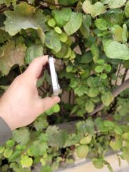 Apple iPhone: IPhone 15 Pro, 128 GB, Natural Titanium, Face ID — 6