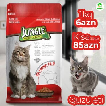 домики для кошек баку: JUNGLE" - Omega 3 və 6, prebiotiklər və vitaminlərlə zənginləşdirilmiş