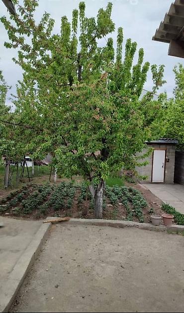 Продажа домов: 3 комнаты, 120 м², 6 соток, Бишкек, Кара-Жыгач ж/м Агентство недвижимости — 2