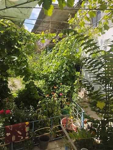 Продажа коттеджей и домов: Продается уютный дом в центре Токмака! Адрес: г. Токмак, ул. Р — 23