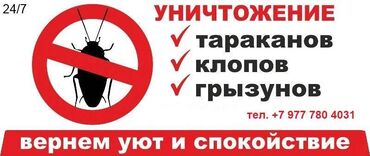 Дезинфекция, дезинсекция: Дезинфекция, дезинсекция, | Блохи, Вирусы, микробы, Клопы, | Дома, Кафе, магазины, Квартиры — 17