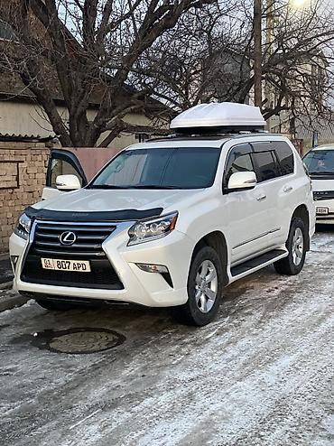 бафф бишкек: Автобокс 600650 л, Новый — 2