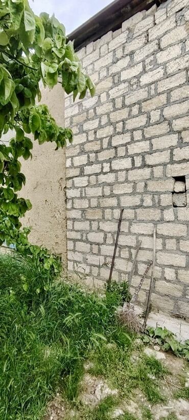 Bağ evlərinin satışı: Şabran, 66 kv. m, 5 otaqlı, Qaz, İşıq, Su — 9