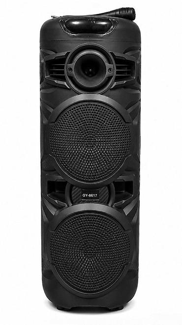 dinamikler: Bluetooth karaoke mikrofonlu portativ dinamik GY-8817 Bütün — 1