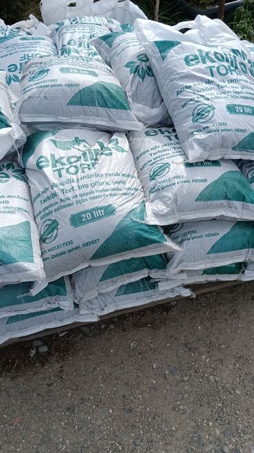 Toxumlar: Kefietli qazon
jefietli iş
kefietli torf
bizdedir — 10