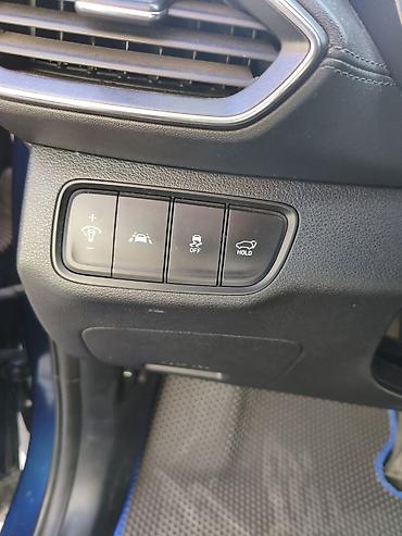ayon i60: Hyundai Santa Fe: 2018 г., 2 л, Автомат, Дизель, Кроссовер — 10