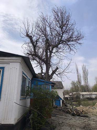 Дрова: Дрова Орех, Самовывоз — 10