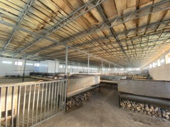 Продажа домов: Дом, 80 м², 5 комнат at lalafo.kg — 5 Продажа домов: Дом, 80 м², 5 комнат — 5