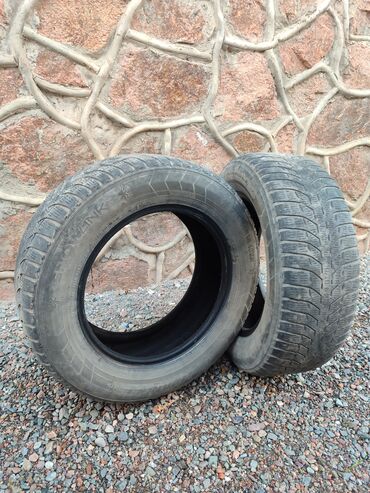 камера на 14: Шины 205 / 55 / R 16, Зима, Пара, Sailun