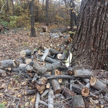 продам дрова: Отун Эмен