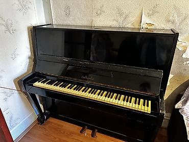 Pianolar: Oktava Pianino — 1