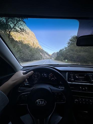 Kia: Kia Optima: 2017 г. — 6
