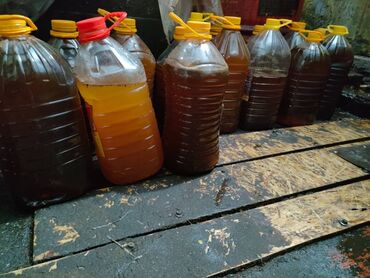 оборудования для кафе: Куплю фрютюрное отработтаное масло в любом количестве самовыз.30сом