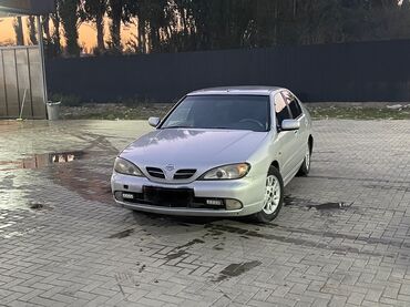шины разноширокие: Nissan Primera: 2001 г., 1.8 л, Механика, Бензин, Седан